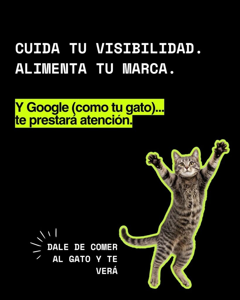 Gato saltando con mensaje sobre cuidar la visibilidad de tu marca turística para aparecer en Google y atraer viajeros.


